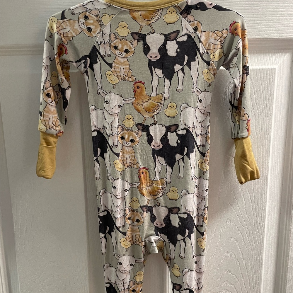 Bamboo - Picture 3 of 3